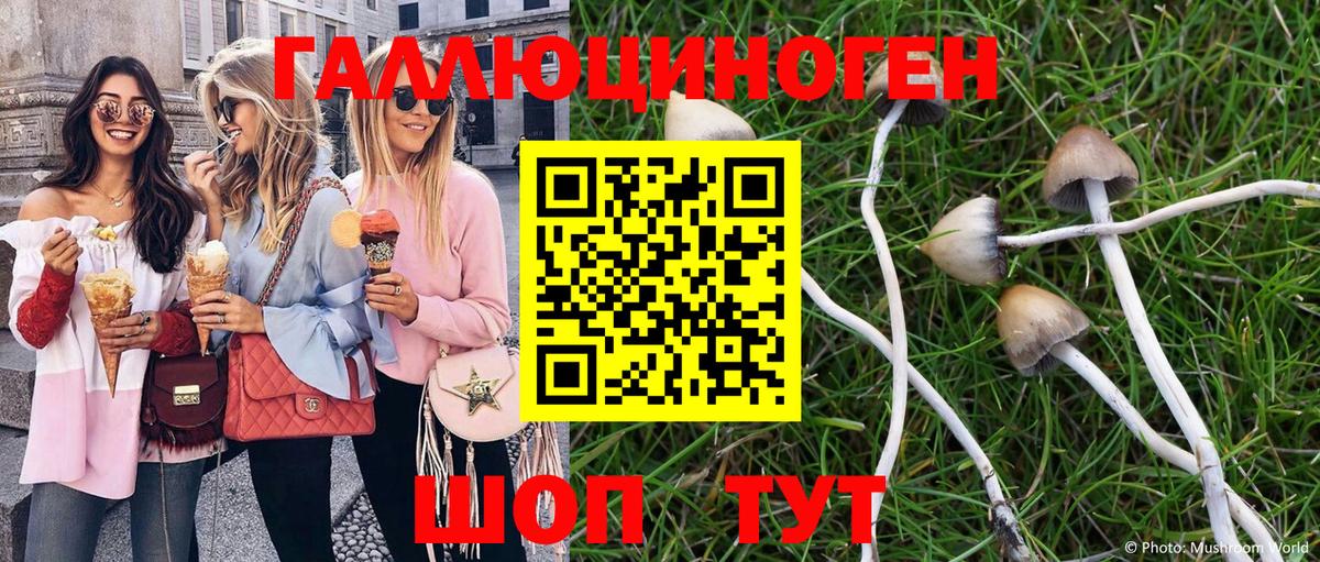 Каспийск  Псилоцибиновые грибы прущие грибы  наркота  Вход с VPN 